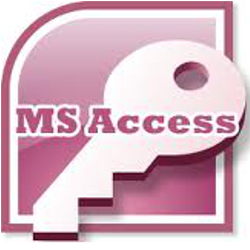 Chicago IL MS Access database developer